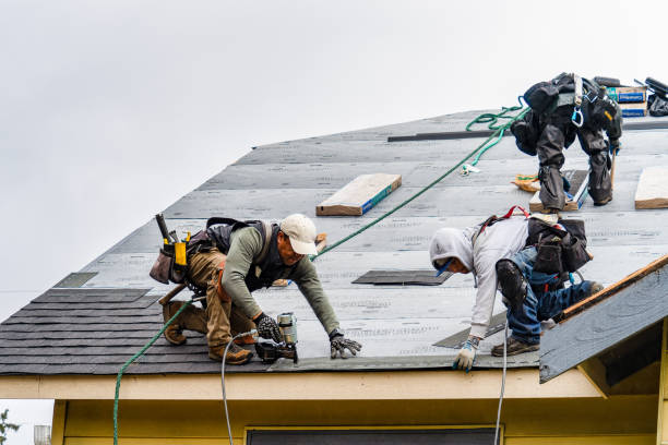 Professional Gutter Installation technician working in Roanoke, IL